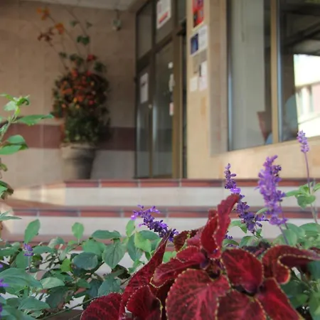 Junior Hotel 3*