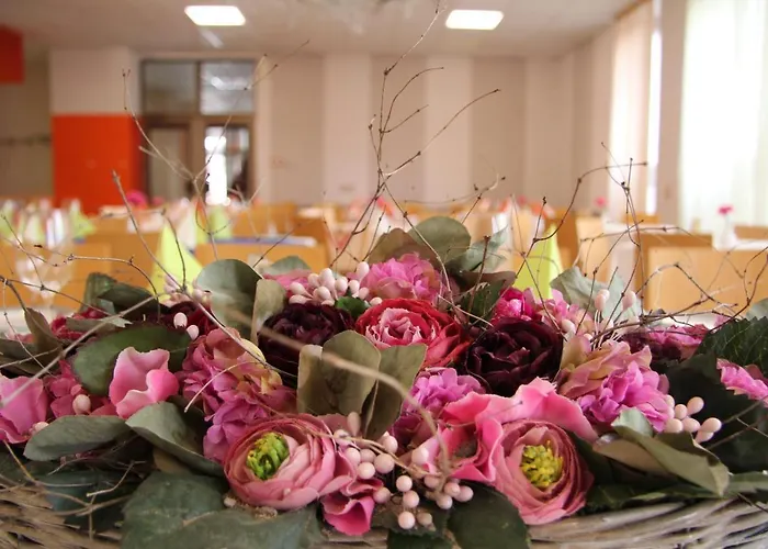 Hotel Junior Podebrady